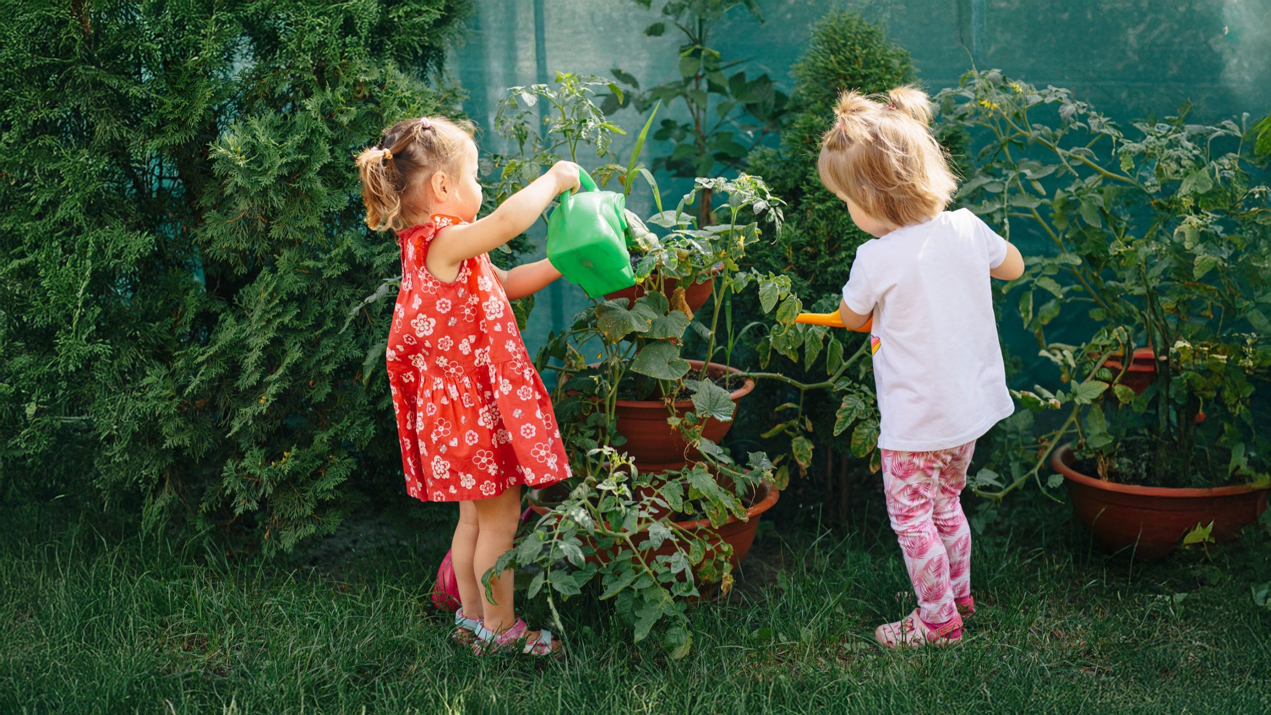 Еко-садок, Харків